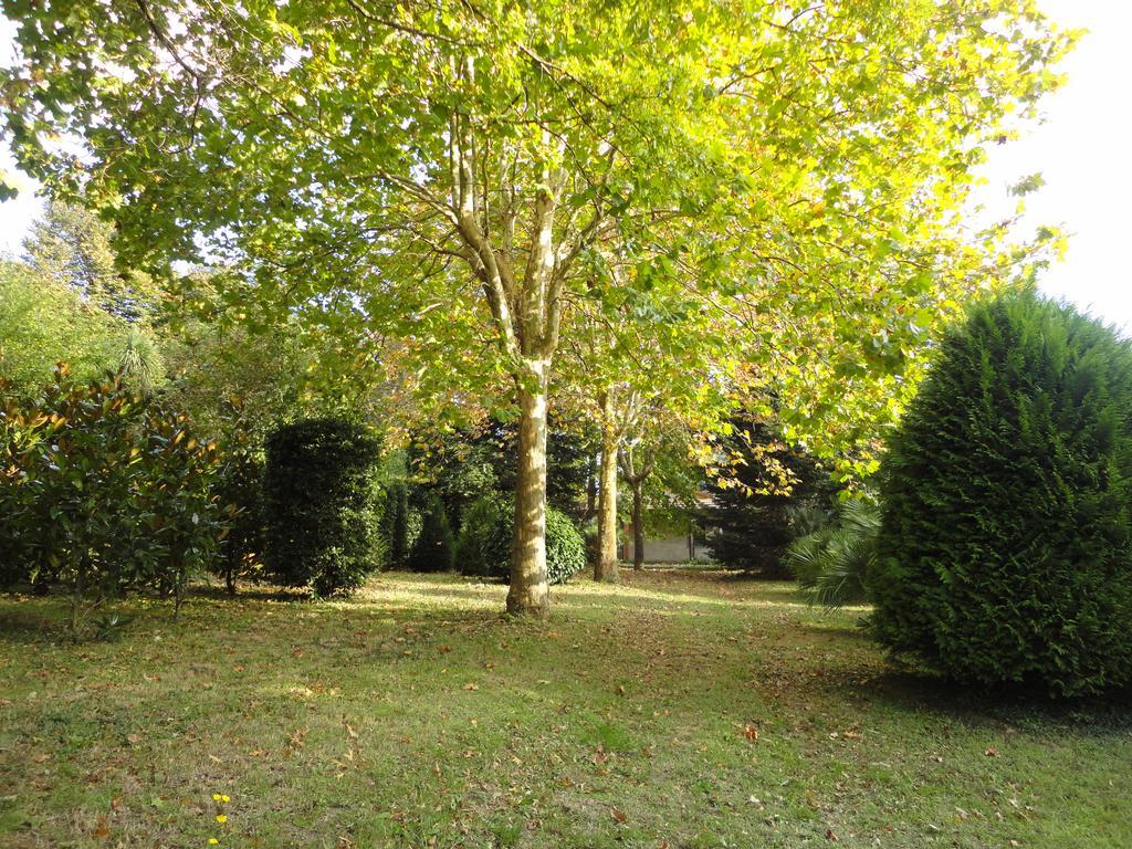 Tenuta Montelaura Forino Exteriér fotografie