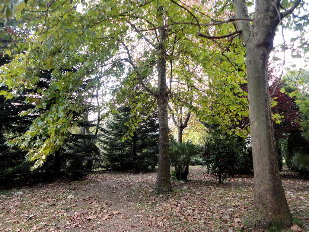 Tenuta Montelaura Forino Exteriér fotografie