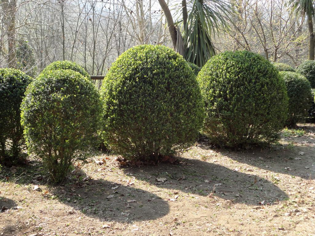 Tenuta Montelaura Forino Exteriér fotografie